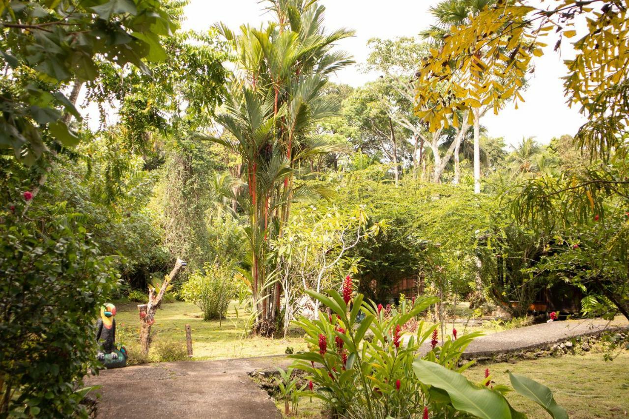 Bungalows Ache Cahuita Eksteriør billede